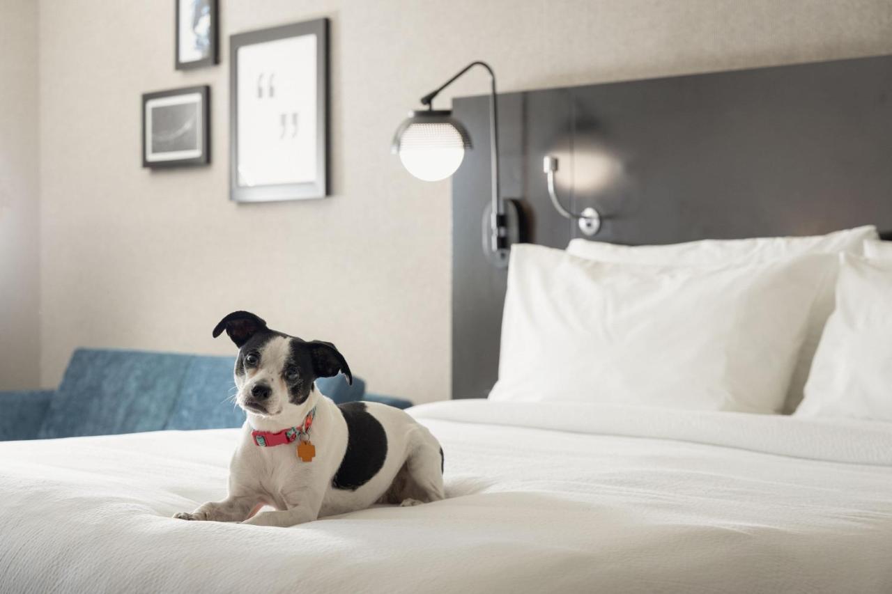 Four Points By Sheraton Milwaukee North Shore Brown Deer Екстериор снимка